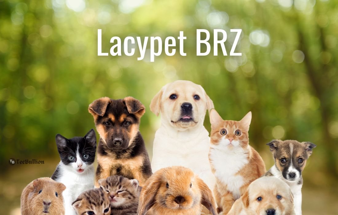 Lacypet BRZ