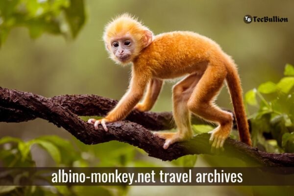 albino-monkey.net travel archives