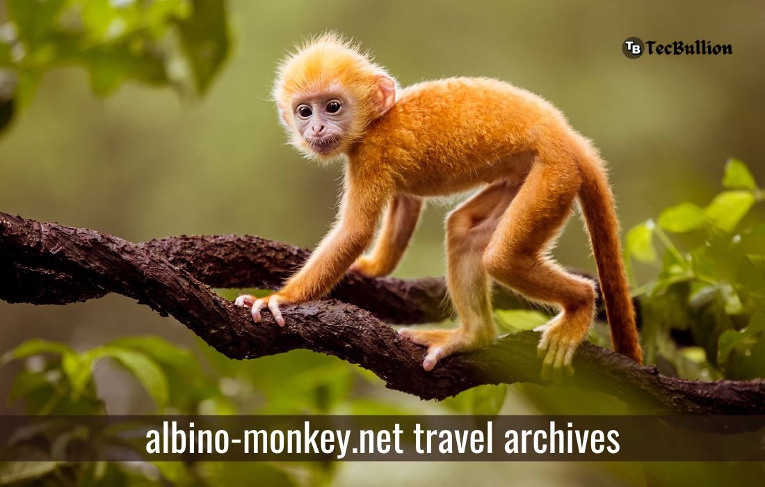 albino-monkey.net travel archives